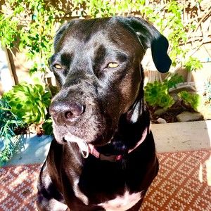 Meet your Posher, Elizabeth